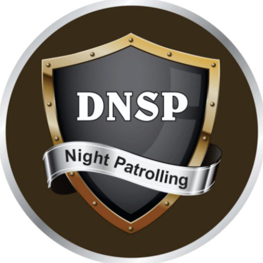 DNSP Securities